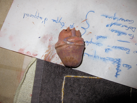 IMG_0196web.jpg