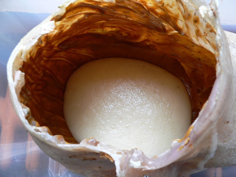2005120002.JPG