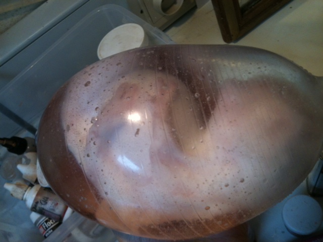 alien.jpg