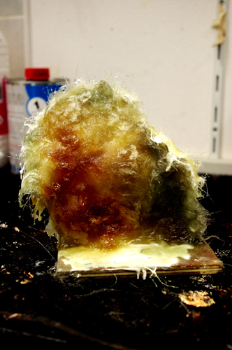 moulage 2 esi.jpg