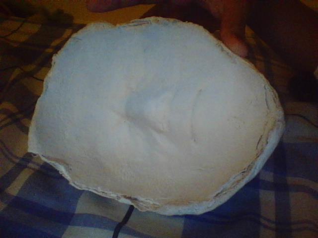 moule 1.jpg