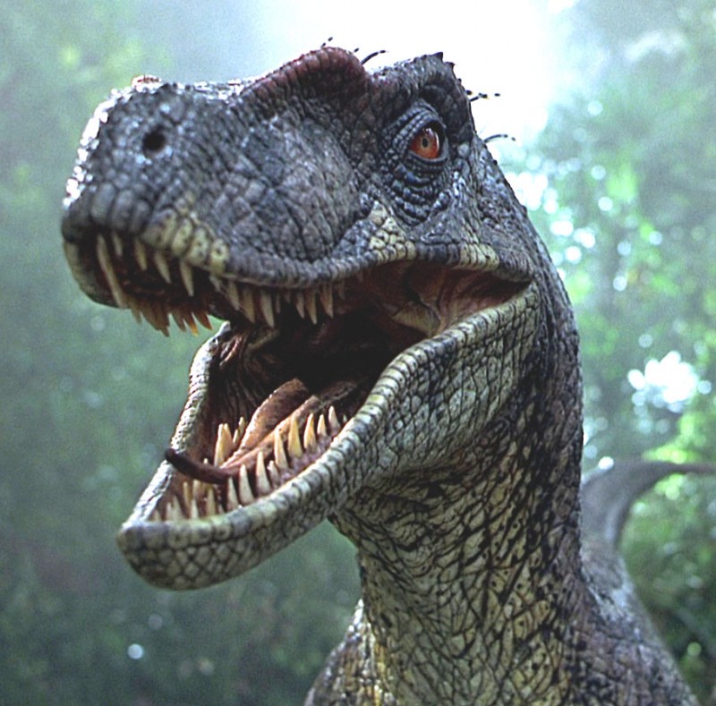 01-Raptors JP pour Davy55.jpg
