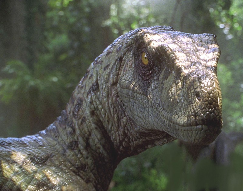 02-Raptors JP pour Davy55.jpg