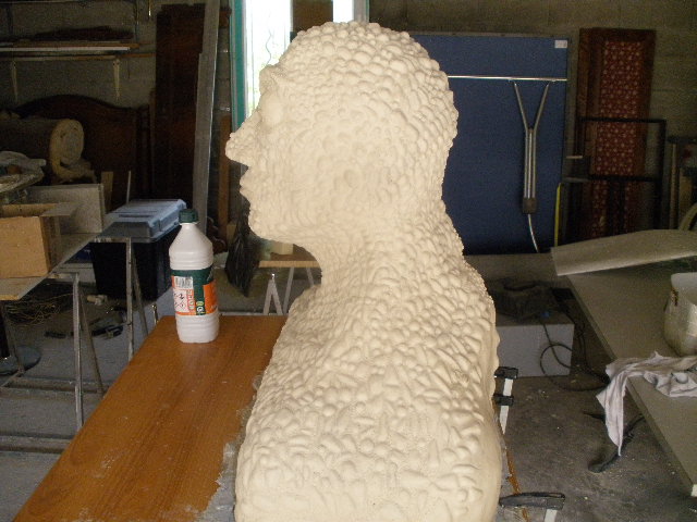 acnéide 11.JPG
