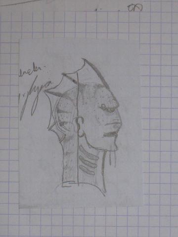 fausse tete 005.JPG