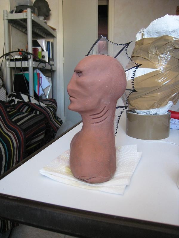fausse tete 001.JPG