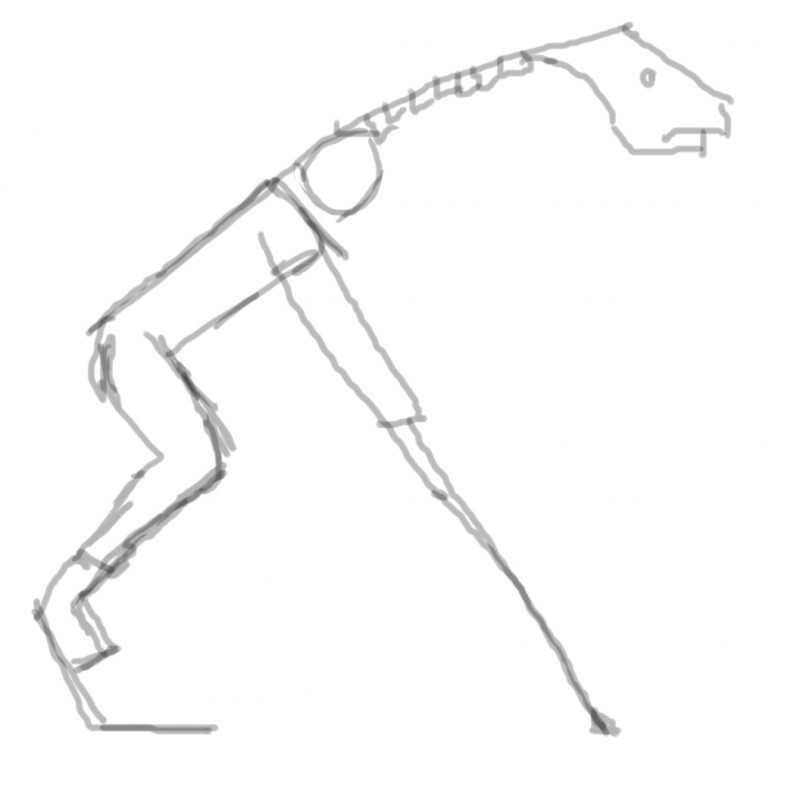 efgbvdfsgbvsd.jpg