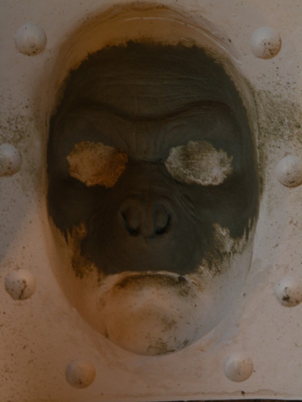 DSCN2249.JPG
