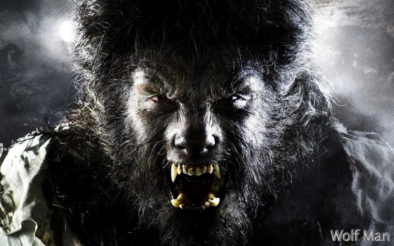 wolfman5.jpg