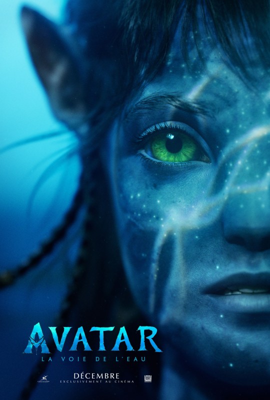 AVATAR - Affiche Teaser Low Res.jpg