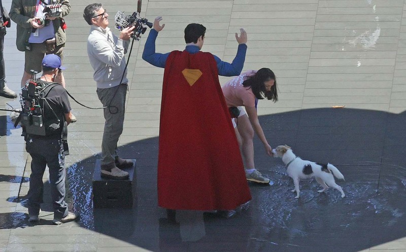Sauvetage Chien-1.jpg